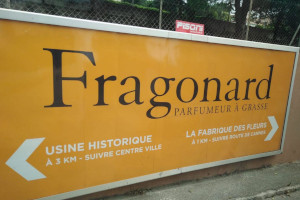 Portfolio name